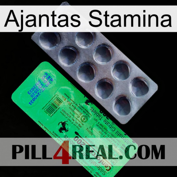 Ajantas Stamina new04.jpg